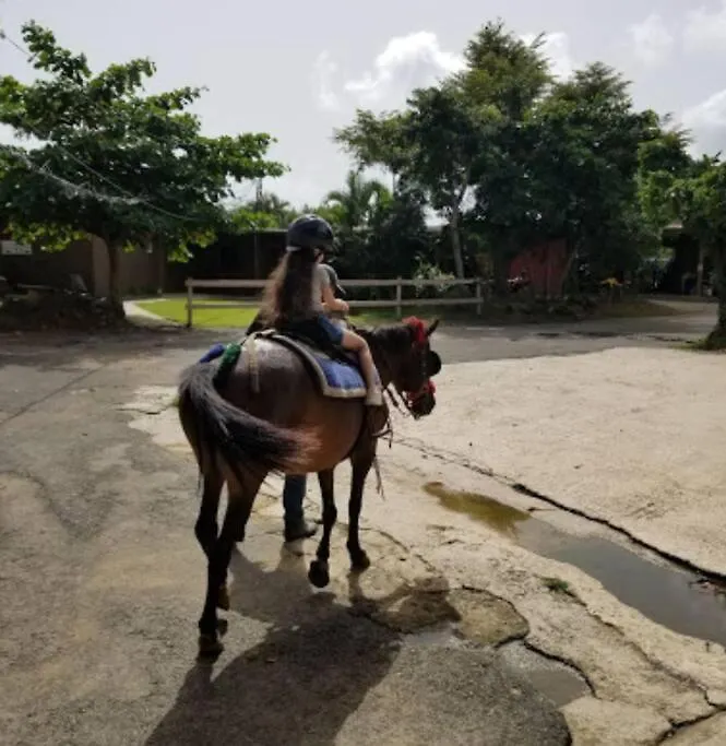 1St Floor, A/C Everywhere, Balcony With Beach View In Luquillo 0*,  Porto Rico