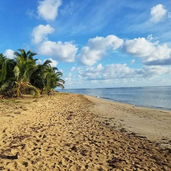 1St Floor, A/C Everywhere, Balcony With Beach View In Luquillo